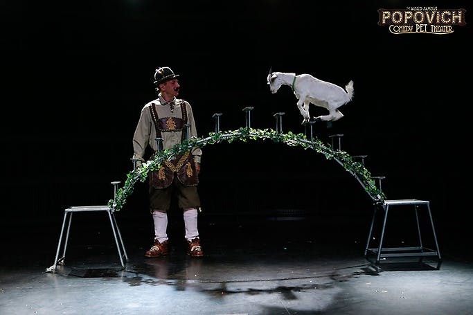 Gregory Popovich juggling on stage alongside performing animals