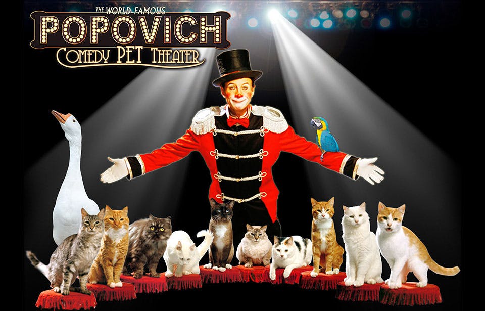 Popovich Comedy Pet Theater at V Theater, Planet Hollywood Las Vegas